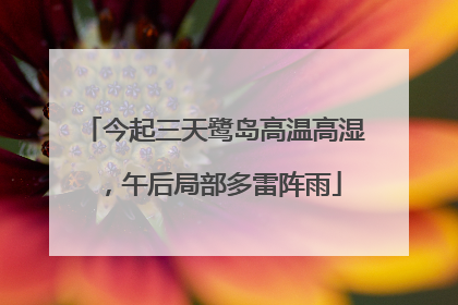 今起三天鹭岛高温高湿，午后局部多雷阵雨