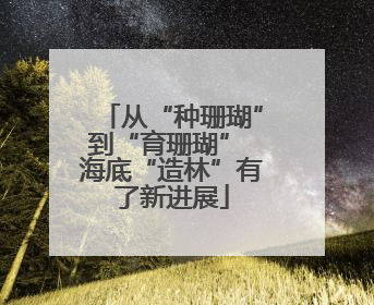 从“种珊瑚”到“育珊瑚” 海底“造林”有了新进展