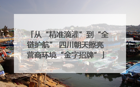 从“精准滴灌”到“全链护航” 四川朝天擦亮营商环境“金字招牌”