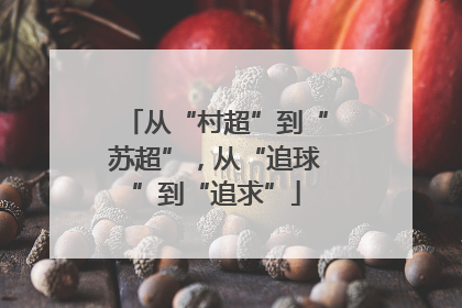 从“村超”到“苏超”，从“追球”到“追求”