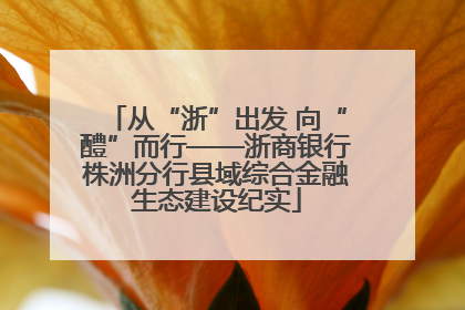 从“浙”出发 向“醴”而行——浙商银行株洲分行县域综合金融生态建设纪实