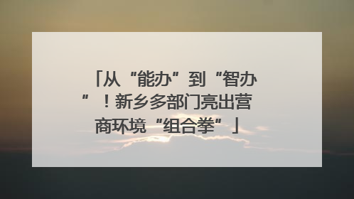 从“能办”到“智办”！新乡多部门亮出营商环境“组合拳”