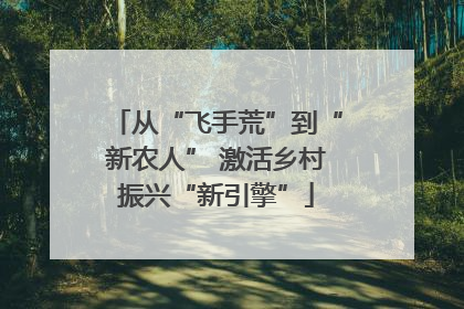 从“飞手荒”到“新农人” 激活乡村振兴“新引擎”