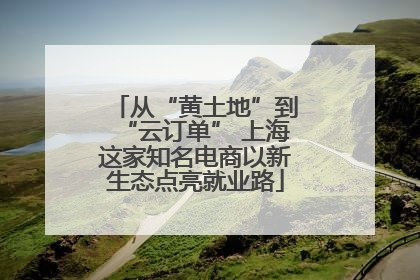 从“黄土地”到“云订单” 上海这家知名电商以新生态点亮就业路