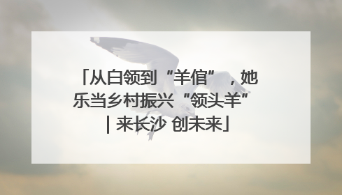 从白领到“羊倌”，她乐当乡村振兴“领头羊”｜来长沙 创未来