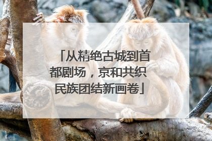 从精绝古城到首都剧场，京和共织民族团结新画卷