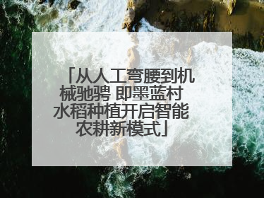 从人工弯腰到机械驰骋 即墨蓝村水稻种植开启智能农耕新模式