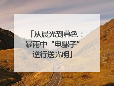 从晨光到暮色：暴雨中“电骡子”逆行送光明