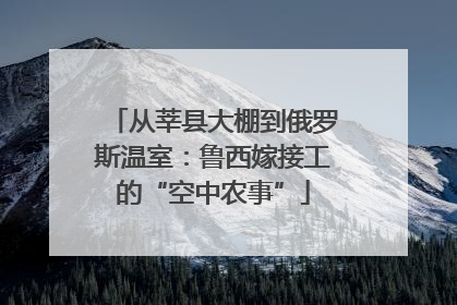 从莘县大棚到俄罗斯温室：鲁西嫁接工的“空中农事”