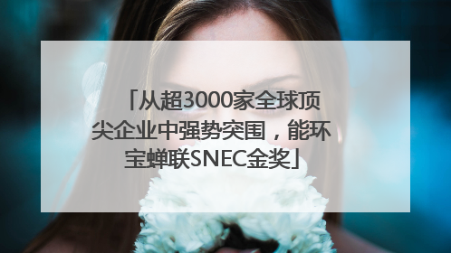 从超3000家全球顶尖企业中强势突围，能环宝蝉联SNEC金奖