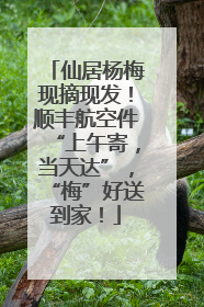 仙居杨梅现摘现发！顺丰航空件“上午寄，当天达”，“梅”好送到家！