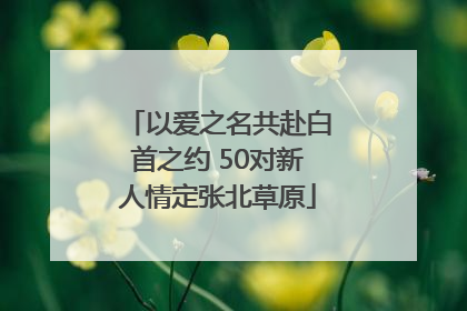 以爱之名共赴白首之约 50对新人情定张北草原