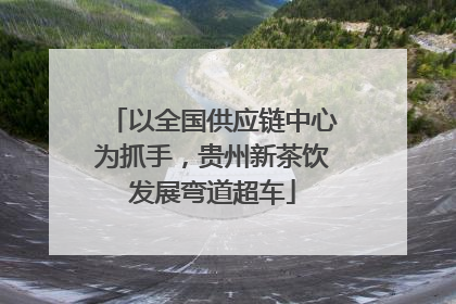 以全国供应链中心为抓手，贵州新茶饮发展弯道超车