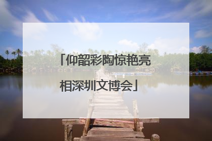 仰韶彩陶惊艳亮相深圳文博会