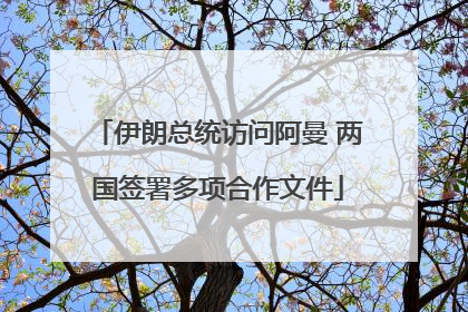 伊朗总统访问阿曼 两国签署多项合作文件