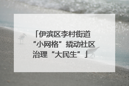 伊滨区李村街道 “小网格”撬动社区治理“大民生”