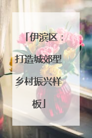 伊滨区：打造城郊型乡村振兴样板