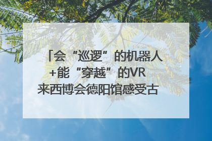 会“巡逻”的机器人+能“穿越”的VR 来西博会德阳馆感受古蜀文明与现代智造的时空对话｜西博视界