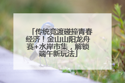 传统竞渡碰撞青春经济！金山山阳龙舟赛+水岸市集，解锁端午新玩法