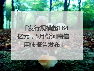 发行规模超184亿元，5月份河南信用债报告发布