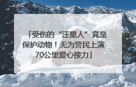 受伤的“汪星人”竟是保护动物！无为警民上演70公里爱心接力