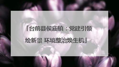 台前县侯庙镇：党建引领绘新景 环境整治焕生机