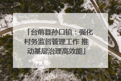 台前县孙口镇：强化村务监督管理工作 推动基层治理高效能
