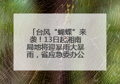 台风“蝴蝶”来袭!13日起湘南局地将迎暴雨大暴雨,省应急委办公室发布汛情提醒