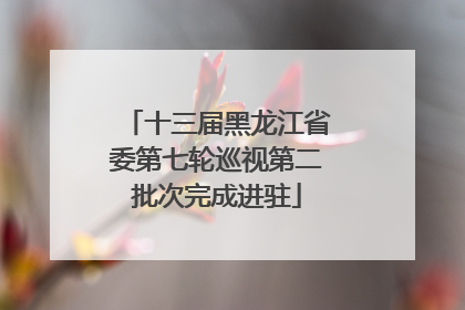 十三届黑龙江省委第七轮巡视第二批次完成进驻