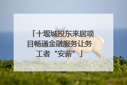 十堰城投东来居项目畅通金融服务让务工者“安薪”