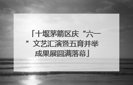 十堰茅箭区庆“六一”文艺汇演暨五育并举成果展圆满落幕