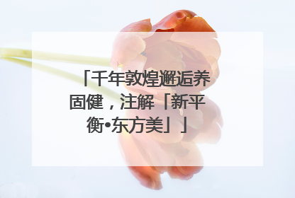 千年敦煌邂逅养固健，注解「新平衡•东方美」