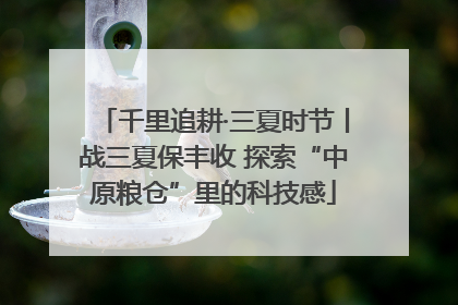 千里追耕·三夏时节丨战三夏保丰收 探索“中原粮仓”里的科技感