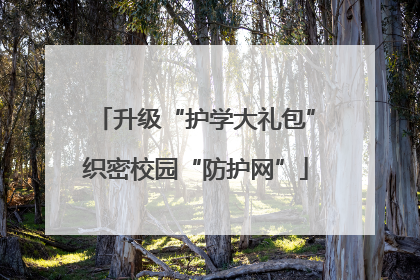 升级“护学大礼包”织密校园“防护网”
