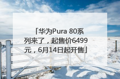 华为Pura 80系列来了，起售价6499元，6月14日起开售
