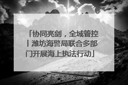 协同亮剑，全域管控丨潍坊海警局联合多部门开展海上执法行动