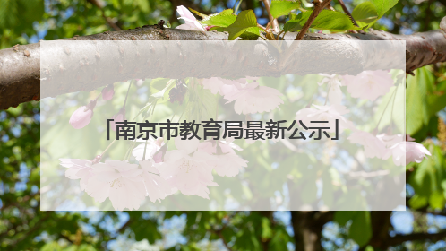 南京市教育局最新公示