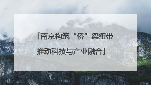 南京构筑“侨”梁纽带推动科技与产业融合