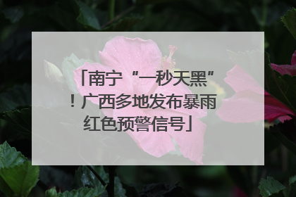 南宁“一秒天黑”！广西多地发布暴雨红色预警信号