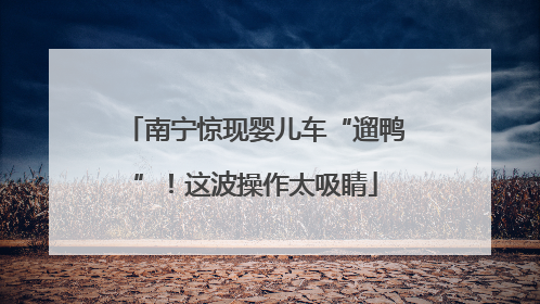 南宁惊现婴儿车“遛鸭”！这波操作太吸睛