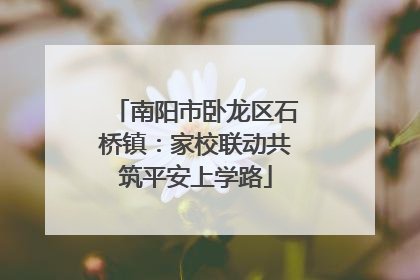 南阳市卧龙区石桥镇：家校联动共筑平安上学路