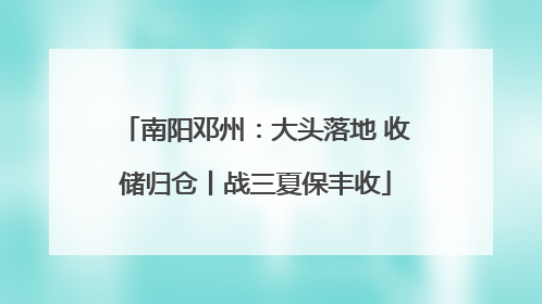 南阳邓州：大头落地 收储归仓丨战三夏保丰收