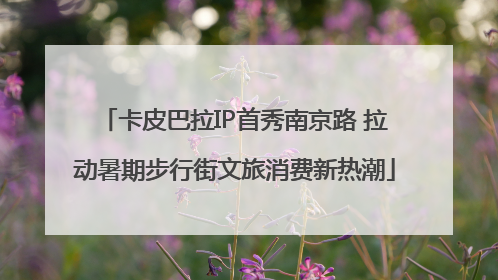 卡皮巴拉IP首秀南京路 拉动暑期步行街文旅消费新热潮