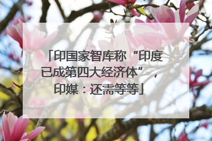 印国家智库称“印度已成第四大经济体”，印媒：还需等等