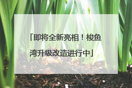 即将全新亮相！梭鱼湾升级改造进行中