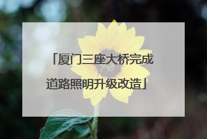 厦门三座大桥完成道路照明升级改造