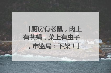 厨房有老鼠，肉上有苍蝇，菜上有虫子，市监局：下架！
