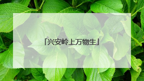 兴安岭上万物生