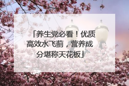 养生党必看！优质高效水飞蓟，营养成分堪称天花板