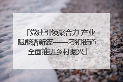 党建引领聚合力 产业赋能谱新篇——刁镇街道全面推进乡村振兴